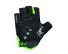 Gloves Isar