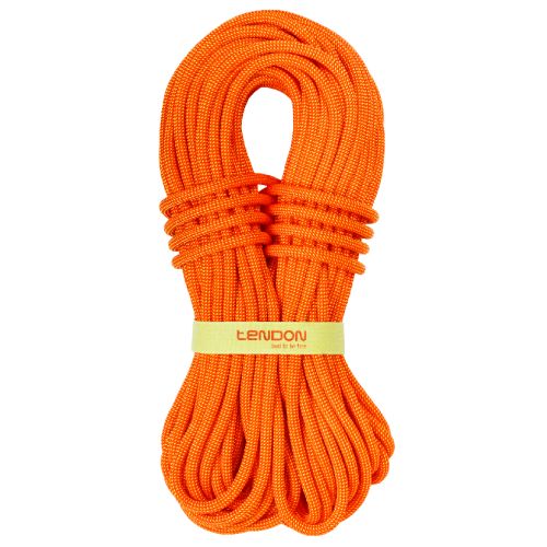 Rope Ambition 10.2 mm TeFIX®