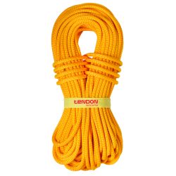 Rope Ambition 10.2 mm TeFIX®