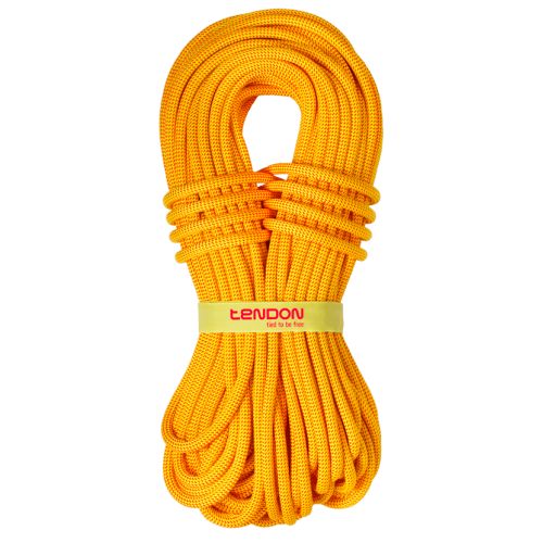 Rope Ambition 10.2 mm TeFIX®