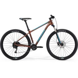 Mountain bike Big Nine 100-2X