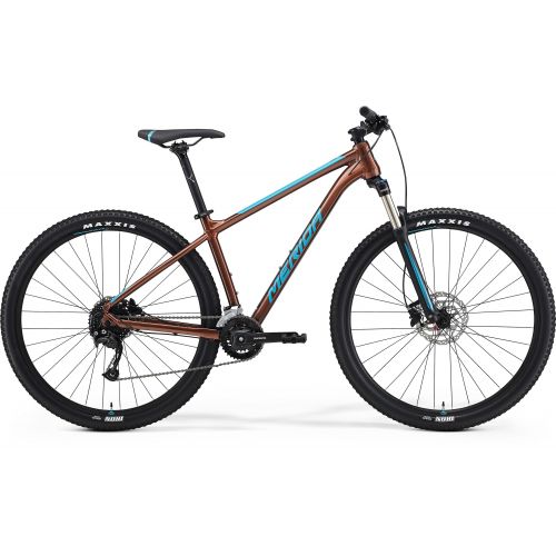 Mountain bike Big Nine 100-2X