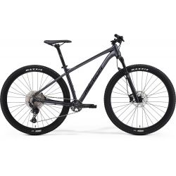 Mountain bike Big Nine 400