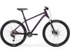 Mountain bike Big Seven 300