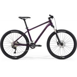 Mountain bike Big Seven 300