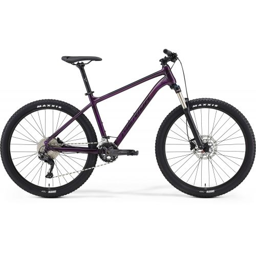 Mountain bike Big Seven 300