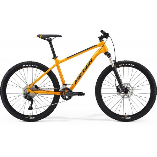 Mountain bike Big Seven 300