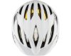 Helmet Delft Mips