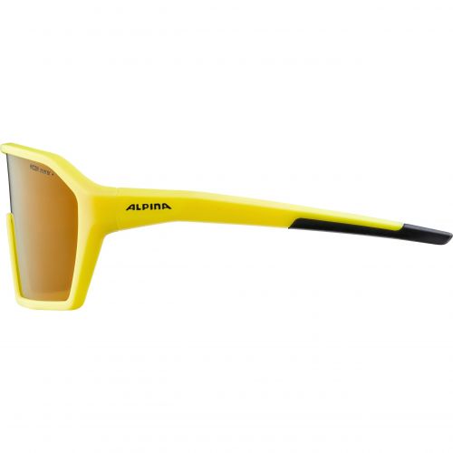 Saulesbrilles RAM Q-Lite