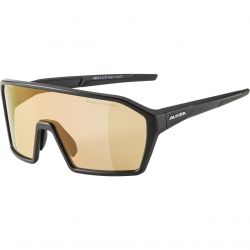 Sunglasses RAM Q-Lite V