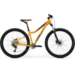 Mountain bike Matts 7. 70