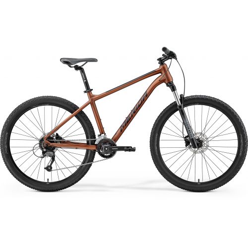 Mountain bike Big Seven 60-2X