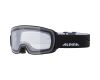 Goggles Nakiska Doubleflex Clear