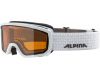 Goggles Scarabeo JR DH