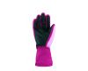 Gloves Altai