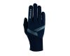 Gloves Laax