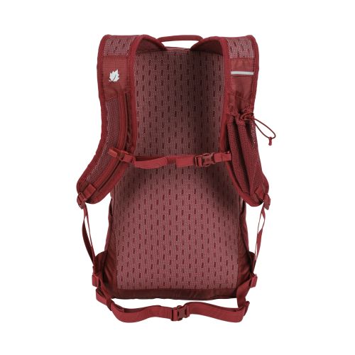 Backpack Active 24