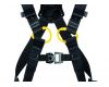 Newton European Version Harness