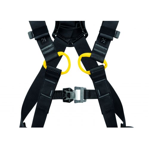 Newton European Version Harness