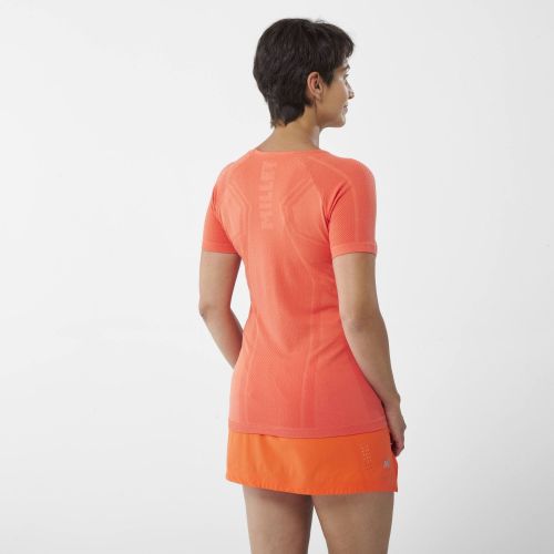 Marškiniai LTK Seamless Light II SS W