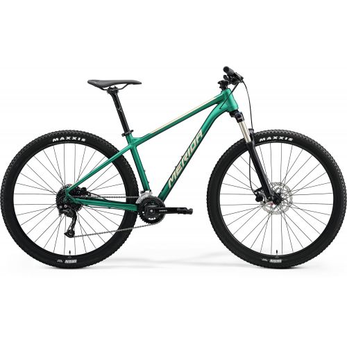 Mountain bike Big Nine 100-2X