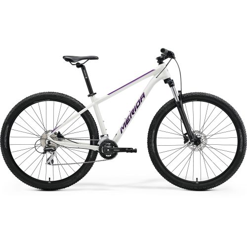 Mountain bike Big Nine 20-2X