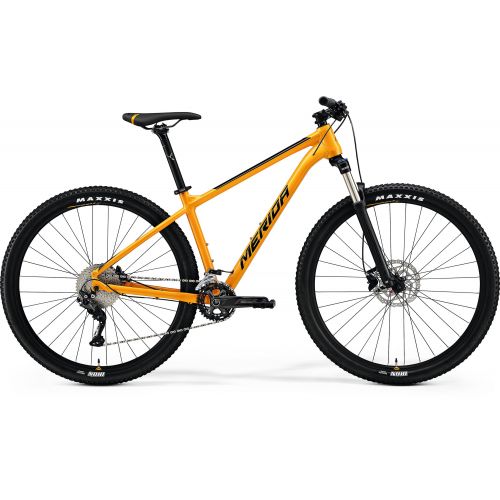 Mountain bike Big Nine 300