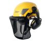 Helmet Flash Industry