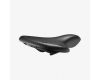 Saddle Cambium C67