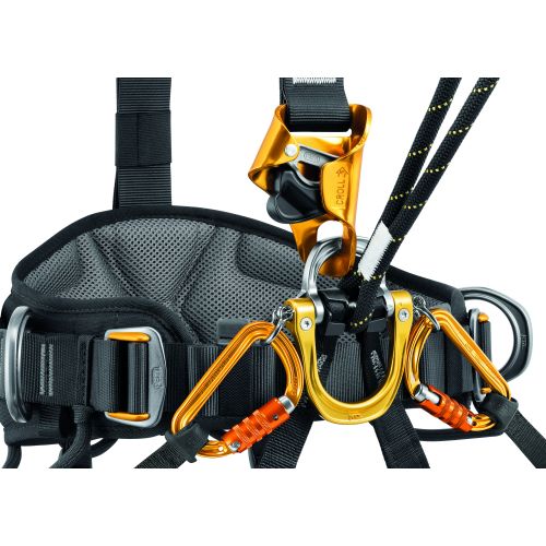 Astro® Bod Fast European Version Harness