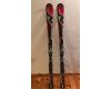 Alpine skis Nordica Dobermann SL Pro