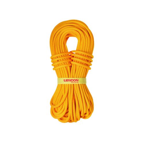 Rope Ambition 10.2 mm TeFIX® (1.8 m)