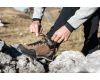 Shoes G Trek 3 GTX®