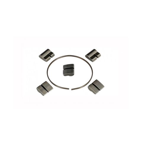 Spare part Novatec F-Type 1 spring + 5 pawls, F 5 pawl type