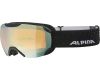 Goggles Pheos S Q-Lite