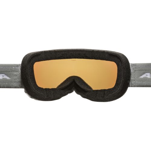 Goggles Pheos S Q-Lite