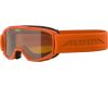 Goggles Piney Singleflex Hicon