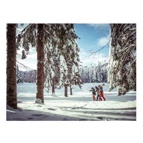 Alpine skis Wingman 82 TI PS ELX 11.0 GW