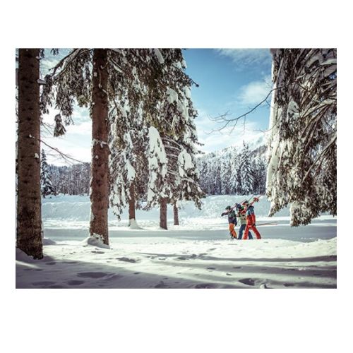 Alpine skis Wingman 86 TI FX Pro 11.0 GW