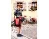 Bicycle bags Back Roller Pro Plus