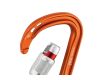Karabinas Rocha Screw-Lock