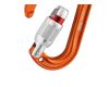 Karabinas Rocha Screw-Lock