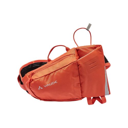 Bag Attendant