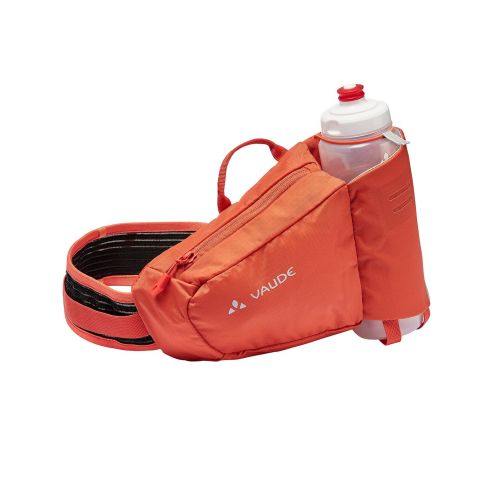 Bag Attendant