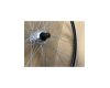 Užpakalinis ratas 28" Alu 6/7 MF QR	