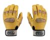Gloves Cordex Plus