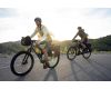 Velosoma Back Roller Plus QL2.2