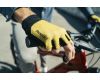 Gloves Bruneck 2