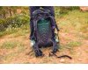 Backpack Stout 55