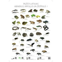 Plakatas Pazīsti Latvijas abiniekus, rāpuļus un zīdītājus I